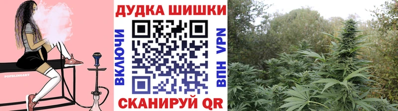 Каннабис план  Купить где  Верхняя Тура 